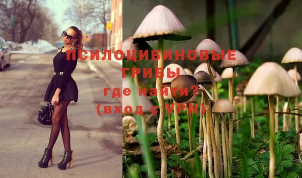 метадон Нея