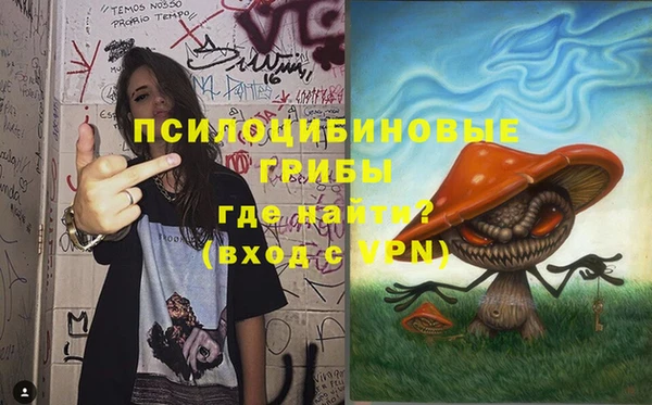 метадон Нея