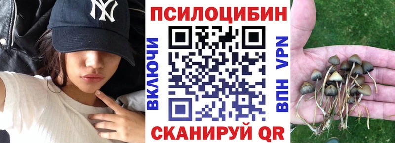 KRAKEN маркетплейс  где купить   Ливны  Галлюциногенные грибы GOLDEN TEACHER 
