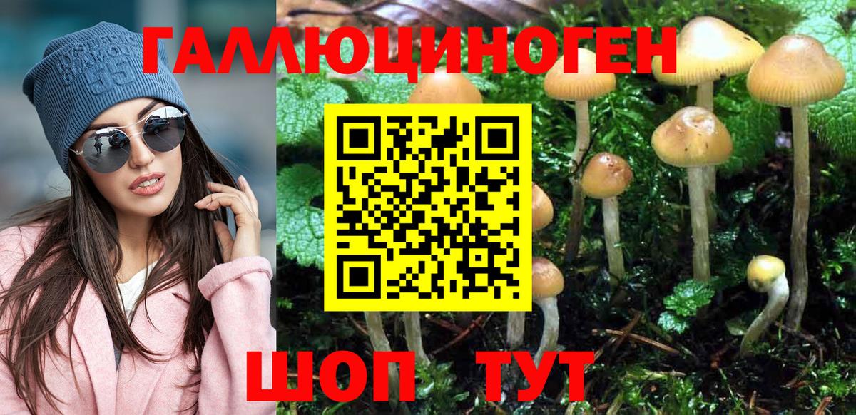 Псилоцибиновые грибы ЛСД Ливны
