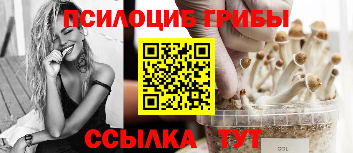 Псилоцибиновые грибы GOLDEN TEACHER Ливны