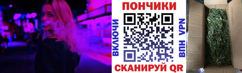 MEGA сайт  купить наркотики сайты  Ливны  Марихуана семена 